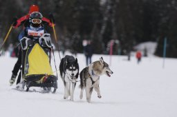 Lenzerheide 2013